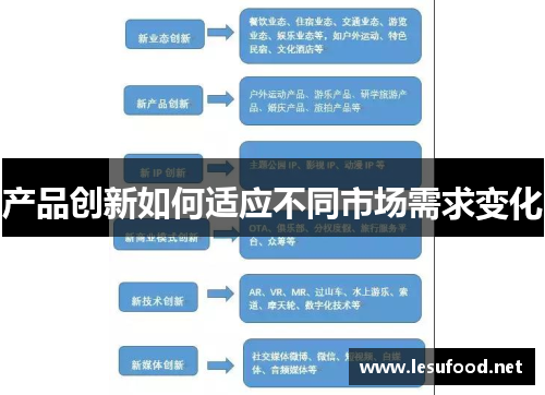 产品创新如何适应不同市场需求变化